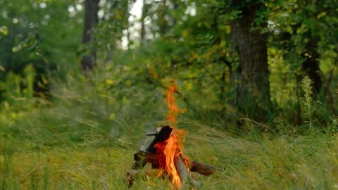 Cozy Campfire Burning in the Woods Seamless Loop Video stock 342897919
