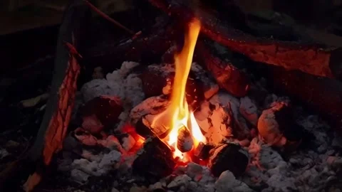 Cozy Campfire Flames Burning Brightly in the Night Stock Footage 295469365