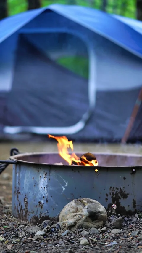 Cozy campfire 動画素材 278331088