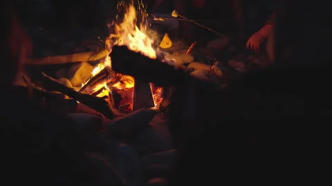 Cozy Campfire Gathering Experience the warmth and deep connection shared under Stock-Footage 317027573