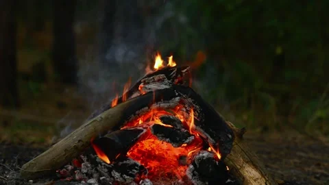 Cozy Campfire Loop with Burning Logs and ASMR Sound. Stock Footage 344746653
