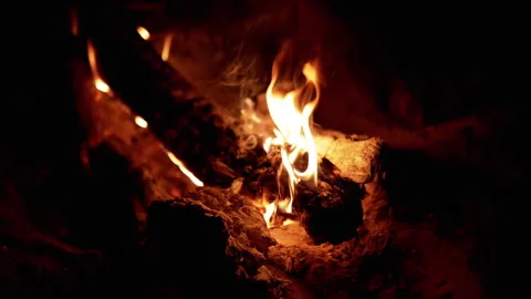 Cozy Campfire at Night Stock Footage 293185899