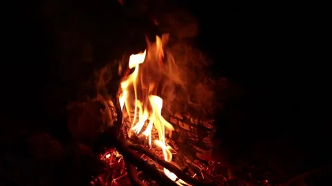 Cozy Campfire at Night 스톡 동영상 344034396
