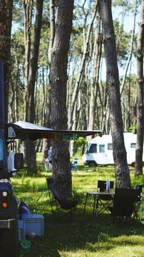 Cozy camping in a pine forest with a camper van and outdoor furniture for res Stock Photos