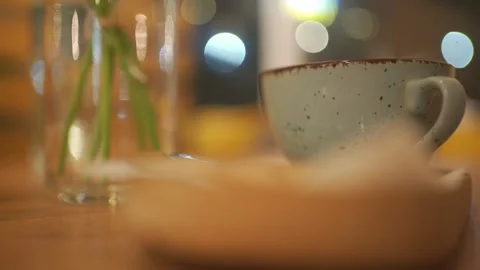 Cozy Close-Up of Ceramic Cup and Green Stems in Warm Indoor Lighting | HLG Stock Footage 303775938