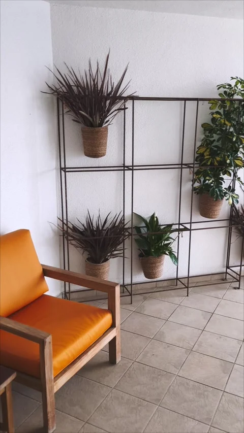 A cozy corner with indoor plants and an orange chair Stock Footage 308045112
