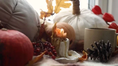 Cozy fall. Candle, warm cup of tea and pumpkins Stock Footage 283926934
