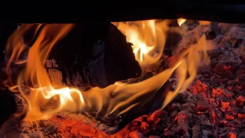 Cozy fire at night Stock Footage 295150262