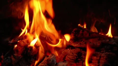 Cozy Fireplace Burning with Bright Flames and Glowing Embers Video stock 342120461