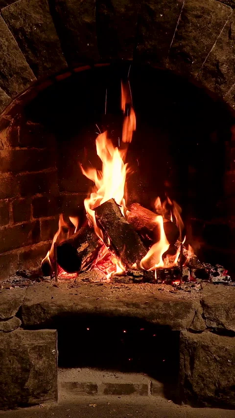 Cozy Fireplace with Burning Logs Stock Footage 308361906