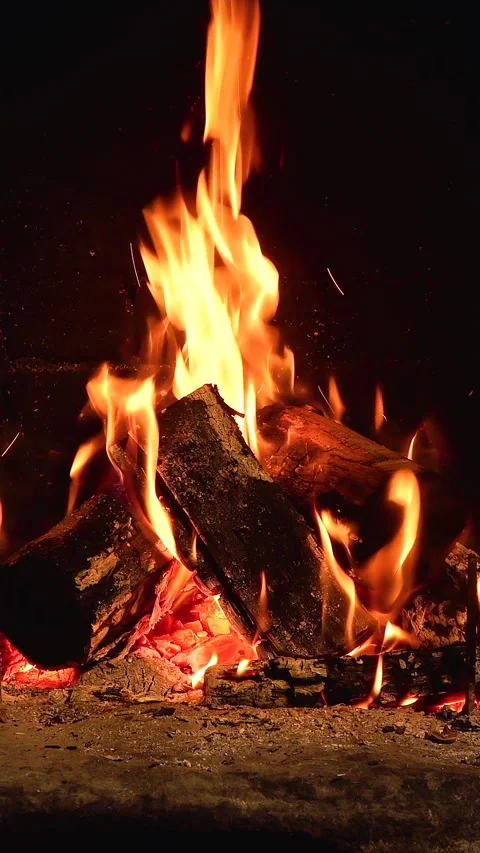 Cozy Fireplace with Burning Logs Stock Footage 308783077