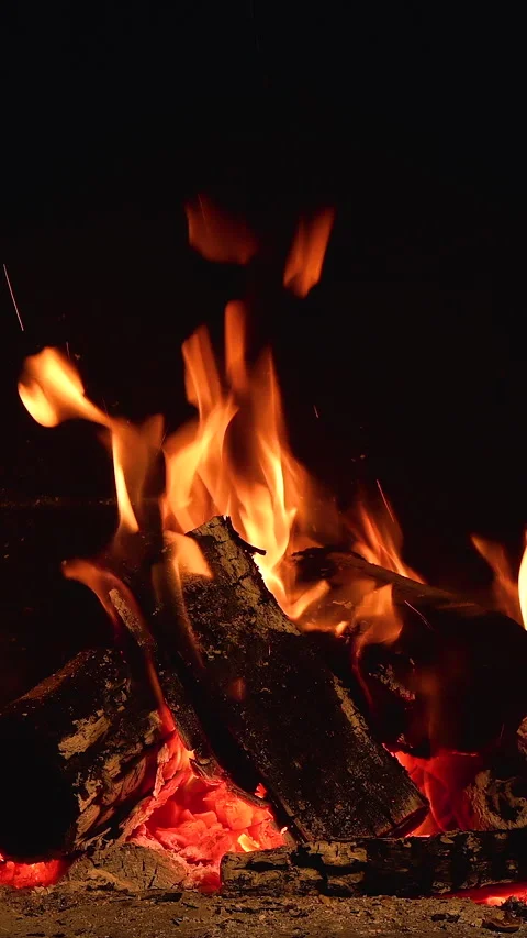 Cozy Fireplace with Burning Logs Stock Footage 313471523
