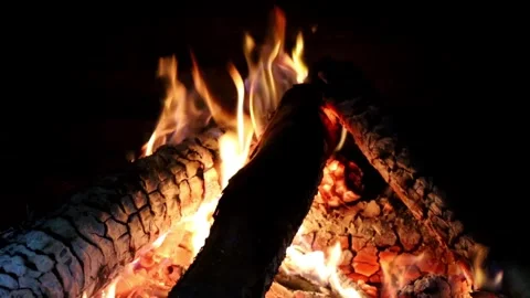 Cozy Fireplace Burning Wood Logs Flame and Glowing Embers Background Stock Footage 342000522