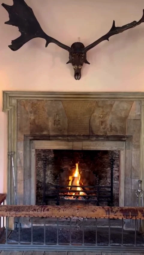 Cozy Fireplace Interior with Rustic Wall Decor Video stock 331439700