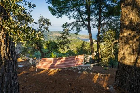 Cozy hammock stretched between trees overlooks scenic harbor Port de Soller. Stock Photos