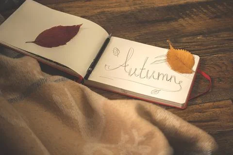 Cozy home composition background with notepad and autumn leaves Stock Photos
