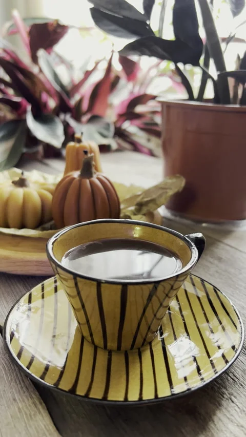 Cozy Home Fall Decorations with Cup of Coffee, Pumpkin Candles and Houseplants Stock Footage 219730531