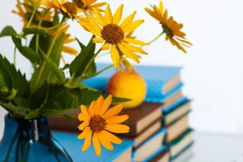 Cozy home interior decor: stack of books and vase with yellow flowers on a ta Stock Photos