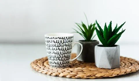 Cozy home interior decor: white and black cup and ornamental plants in pots o Stock Photos