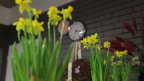 Cozy interior decoration designed concept with luxurious natural flowers - fresh Stock Footage 74399004