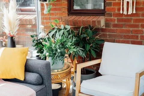 Cozy, light conservatory interior design with gray sofa decorated with bright Stock Photos