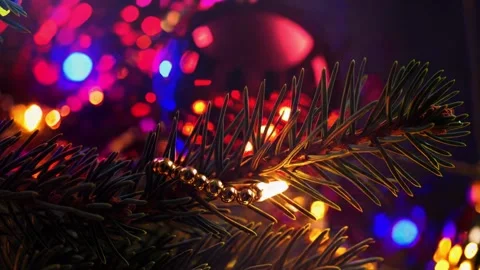 Cozy Lights on Evergreen Needles Stock Footage 318737740