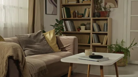 Cozy Living Room Interior Featuring Sofa with Bookshelf Background Stock Footage 338082792