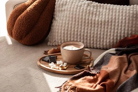 Cozy mug of hot chocolate with marshmallows and chocolate pieces on a tray .. Stock Photos