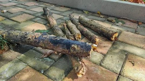 A Cozy Night In: Stack of Firewood Ready for the Fireplace Stock Photos