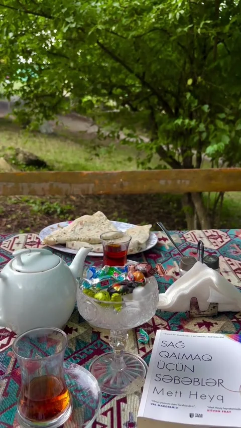 Cozy Outdoor Breakfast with Tea and Book Video stock 341317643