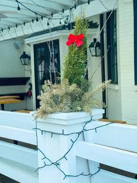 Cozy outdoor patio with string lights and plants Stock Photos