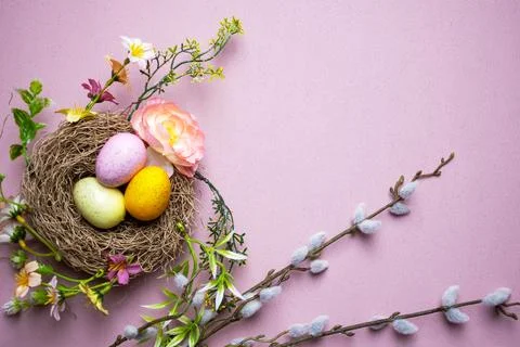 Cozy Pastel Background Featuring Nesting Eggs And Blooming Catkins Stock Photos
