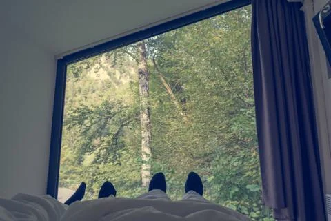 Cozy point of view from bed looking through window into forest. Stock Photos