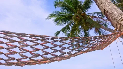 Cozy rope hammock to lounge between high green palm tree. Light wind blowing Stock Footage 112233695