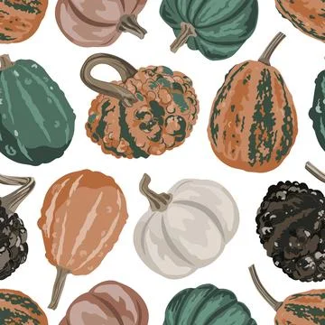 Cozy small gourds seamless pattern. Pumpkins autumn background. Vector squa.. Stock Illustration