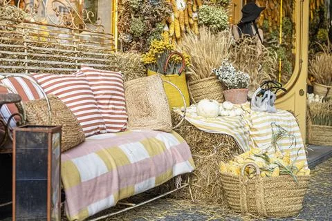A cozy small sofa with cushions, surrounded by baskets of corn, pumpkins, a.. Stock Photos