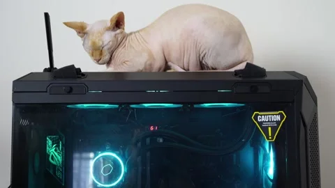 Cozy Sphinx Finds Warmth on Tech Throne Video stock 304368142