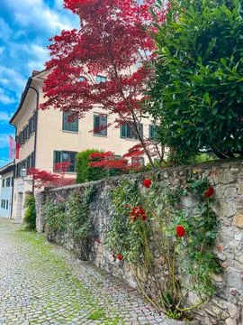 Cozy streets of Bregenz upper town - Oberstadt Stock Photos