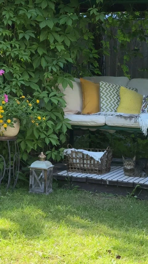 Cozy Summer Garden with Resting Cats and Blooming Flowers Vídeo Stock 337344331