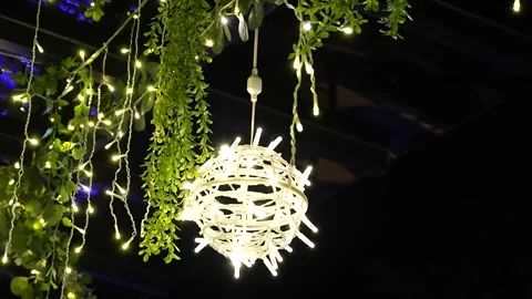 Cozy Wicker Light Orb Illuminating Green Leaves in a Night Garden Stock Footage 321361633