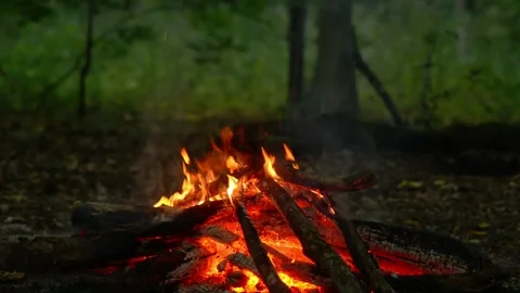 Cozy Wilderness Campfire ASMR Wood Crackling Sound Vídeos de archivo 342012151