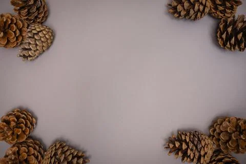 Cozy winter background with pine cones Stock Photos