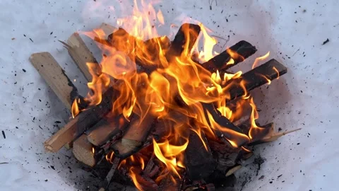 Cozy winter campfire experience in a snow-covered forest on a quiet afternoon Stock Footage 340551208