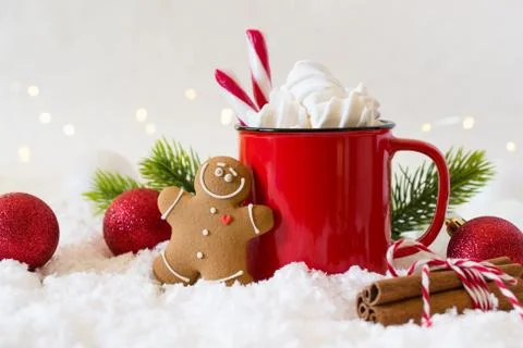 Cozy winter composition with a cup of hot chocolate with marshmallows gingerb Stock Photos