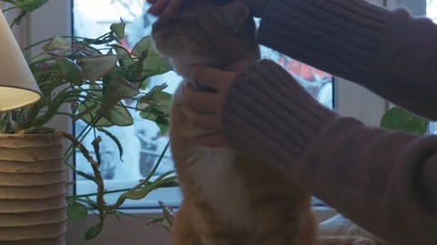 Cozy winter interior with warm light and snowy view outside the window. Close-up Stock Footage 328104285