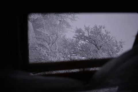 Cozy winter at the window. forest seen trough window Stock Photos