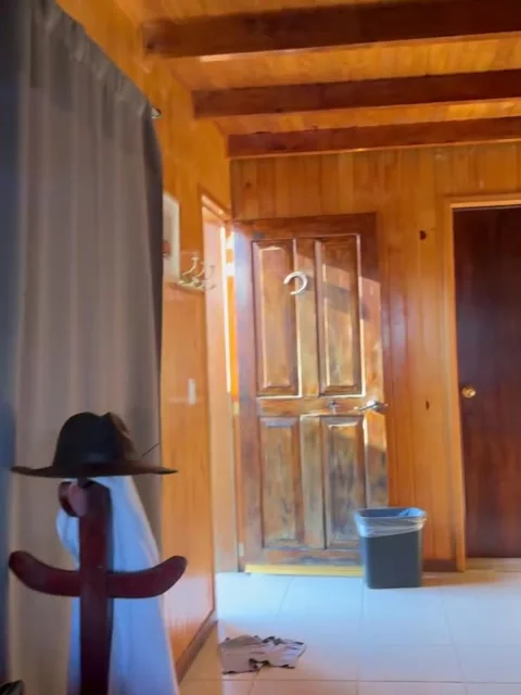 Cozy Wooden Cabin Interior with Balcony Forest View Video stock 340263930