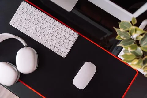 Cozy workplace with computer and wireless devices and home plant top view Stock Photos