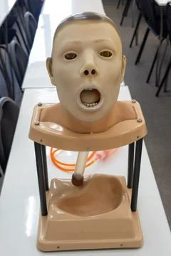 CPR training mannequin head, realistic style, on white table background, conc Stock Photos