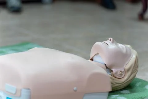 CPR Training Mannequin Ready for Practice Stock Photos